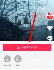 抖音抖音私密视频怎么公开抖音私密发布软件教程格子啦