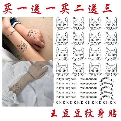 王逗逗纹身贴同款手臂猫咪手指k英文女孩子防水字母网红快手