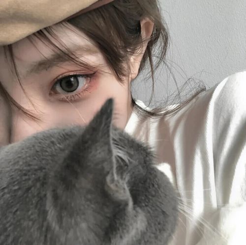 女生抱猫头像我在人间贩卖黄昏,只为收集时间的温柔去见你