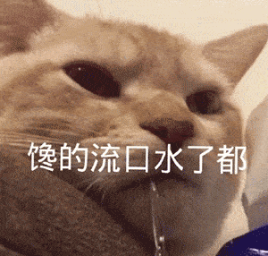 抖音热门表情包