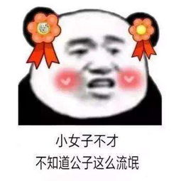 好看的抖音头像女生小女子不才