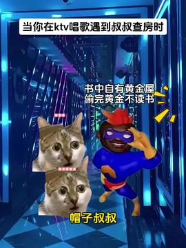 小橘子考试得了0分快来安慰它一下吧神奇动物在抖音喵星人动物成精神奇动物看这里小猫治愈世界