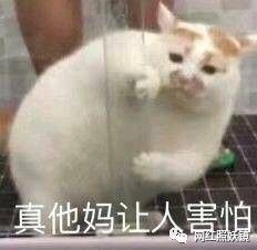 未婚生子出轨聊骚家暴炒作,这对快手网红情侣分手太戏精