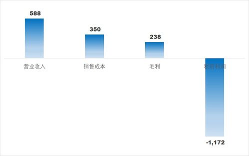 快手2020年年报有何看点,对得起其1.25万亿的市值吗