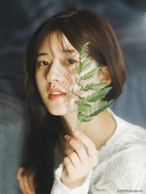 被嘲万年歪脸的金晨,为什么还是内娱顶级大美人