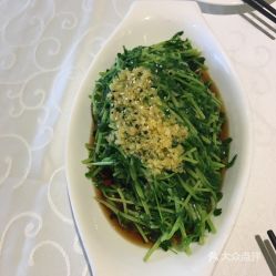 快手头像制作豌豆苗