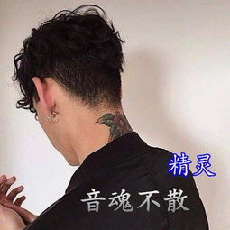 快手最火精灵高音质在线试听快手最火歌词歌曲下载酷狗音乐