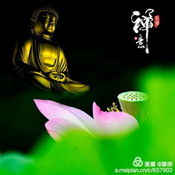 适合学佛人的微信头像佛教经典