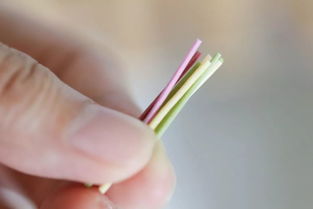 不添加食盐色素锻炼咀嚼的秘密武器最适合夏季的快手食材
