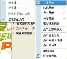 怎样在qq里取消显示自己的头像