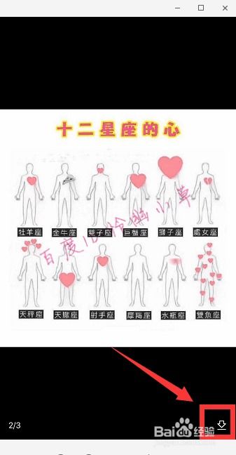 十二星座情侣头像抖音头像