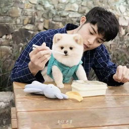 泰国高颜值男主带着自家博美犬火爆ins,这满屏的日系风太诱人啦