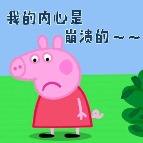 表情包当不了精致女孩不要勉强来当个精致的猪猪女孩吧