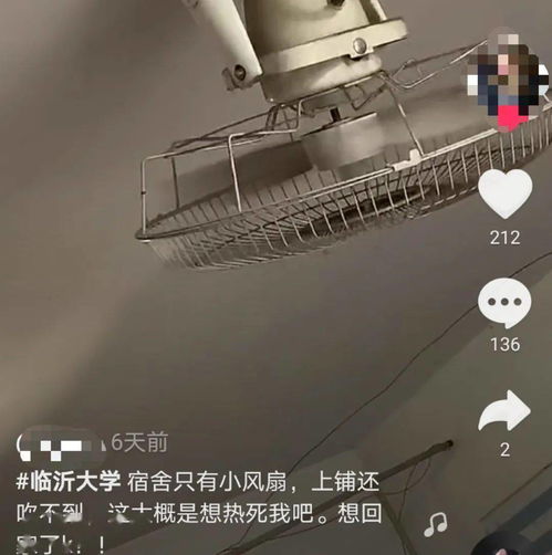 临大这个女生宿舍在抖音火了,近百万人点赞,只因挂了一把伞