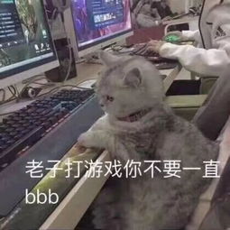 成年人最常用的20句潜台词,哈哈哈哈哈不愧是我