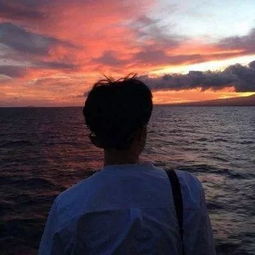 预告星辰大海