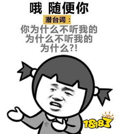 女生的潜台词表情包