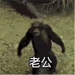 让人觉得沙雕的表情包