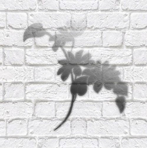 生态ins影子光影阴影底纹植物花素材图片免费下载千库网