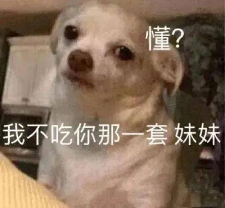 抖音热门表情包