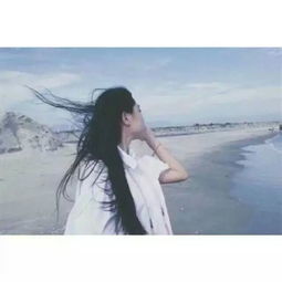 赵姓氏