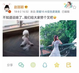 赵丽颖有了,我的一家三口也不远了