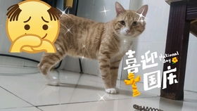 丰乳肥臀你怕了没