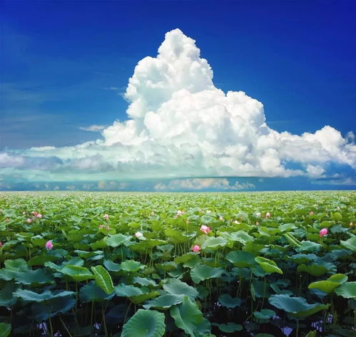 8月最佳旅行目的地出炉过一个只有25的夏天