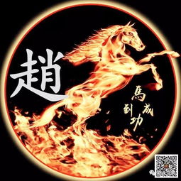霸气赵字壁纸我姓赵照亮你的美,赵氏宗亲赶紧收藏