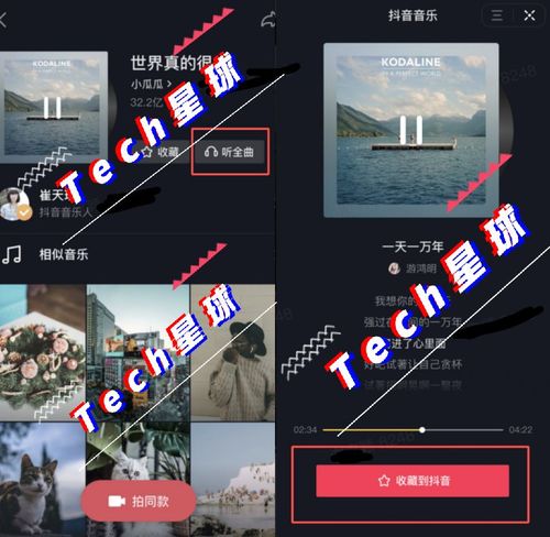 抖音音乐内测,它会成为下一个qq音乐和网易云音乐吗