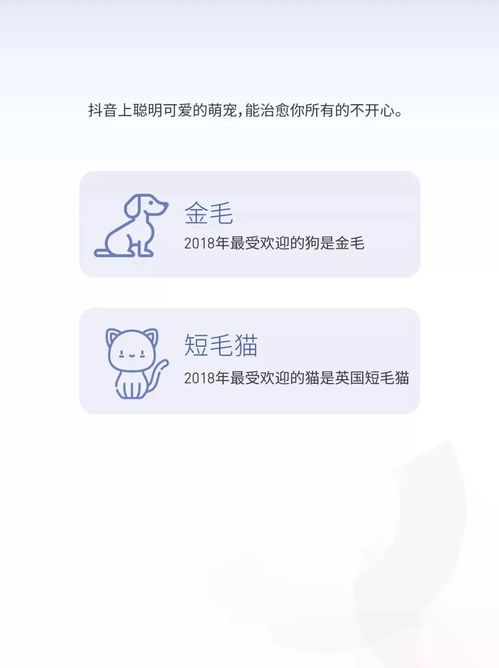 抖音2018年度数据报告完整版