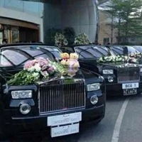婚车车队头像结婚婚车车队头像