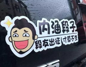 车上贴内涵段子会罚款千真万确抖音里的这些事千万别乱学