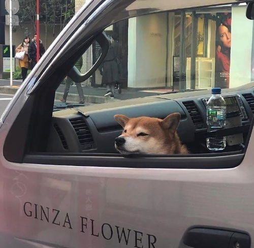 今日份朋友圈背景图ins潮图背景墙头像