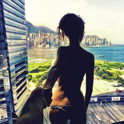 好美感动不要脸别人家的旅行和照片