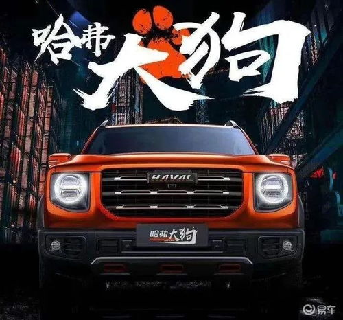 欧拉白猫谁说撸猫文化不能成为汽车文化的一种