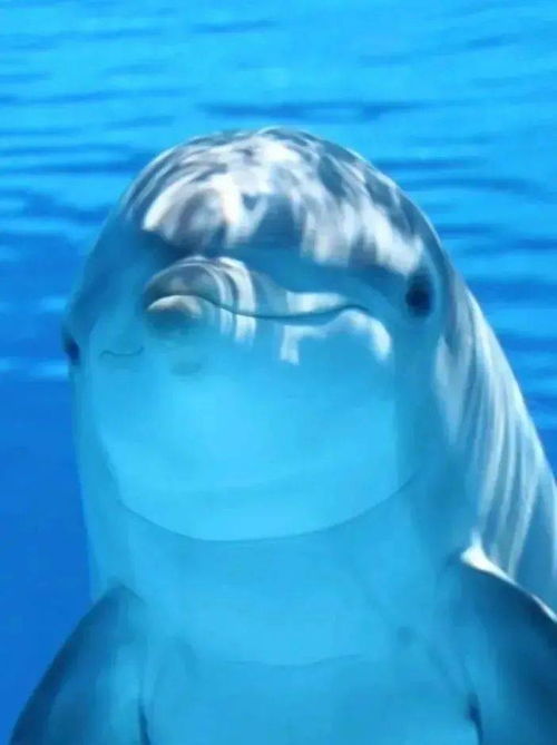 承包泉州人假期的海洋世界,来这里就对了上千种生物等你来撩