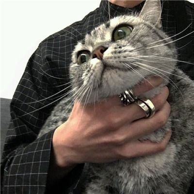 晋中广告海报设计时间财富网