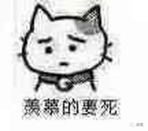 起点大爽文男主易烊千玺真的让人慕了