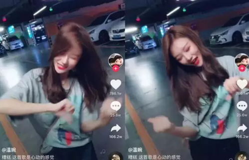 网红圈的三大网红,其名利不亚于娱乐圈当红女明星