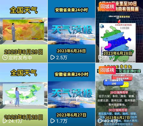 基础类抖音短视频节目