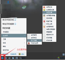 怎么取消qq会员那个7天更换一次的头像