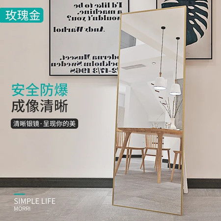 全身镜落地镜家用女北欧简约网红ins风女生卧室少女试衣穿衣镜子