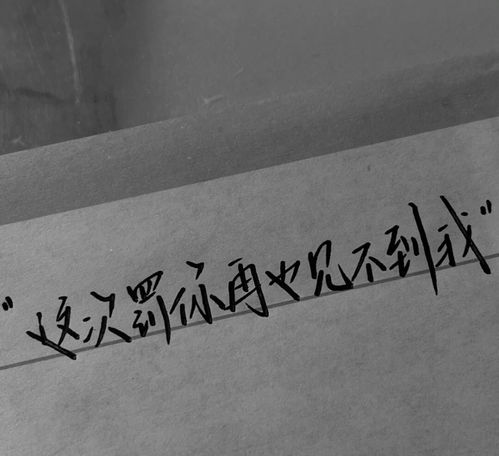 深夜发的高级小众情绪文案