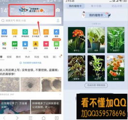 qq浏览器识别植物领红包活动