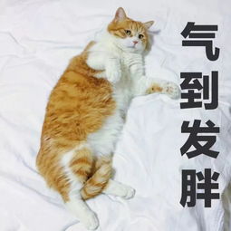 日系开架眼影百元内能剁手的大牌质感眼影盘