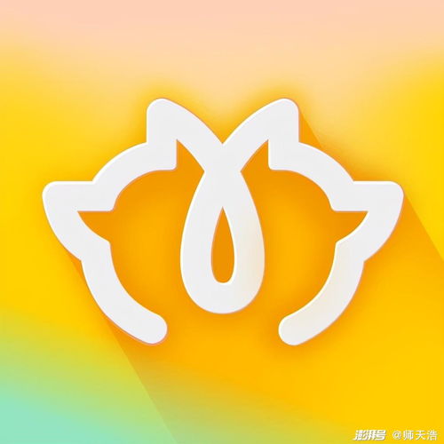 张同学火于抖音,快手连老铁也失去了