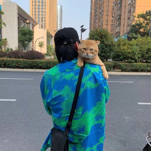 ins精选男生头像