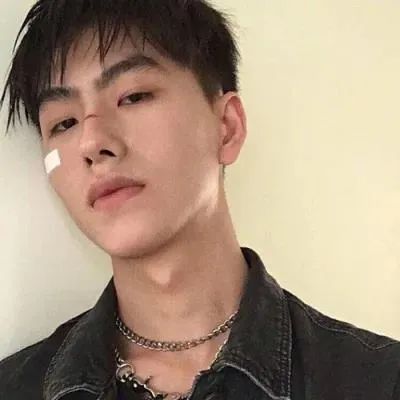 男头我的心在树上