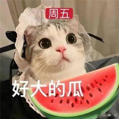 最近的这一周,我竟然是这么过来的